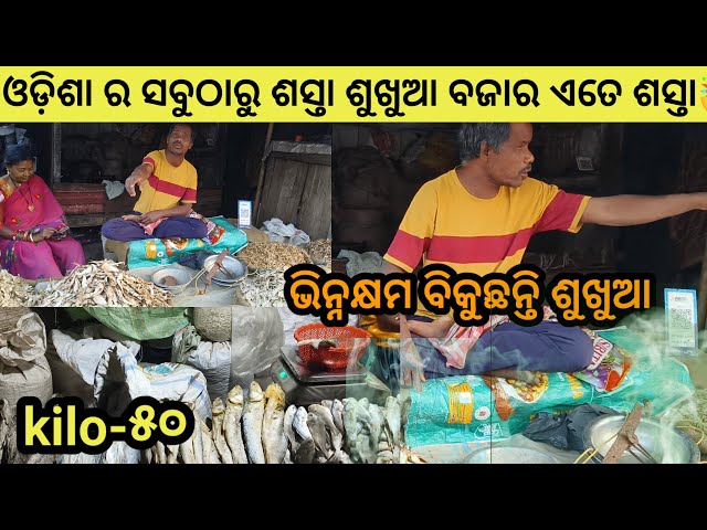 ଓଡ଼ିଶା ର ସବୁଠାରୁ ଶସ୍ତା ଶୁଖୁଆ ବଜାର | Dry Fish Market In Odisha | Fish Market In Odisha | Odia Vlog