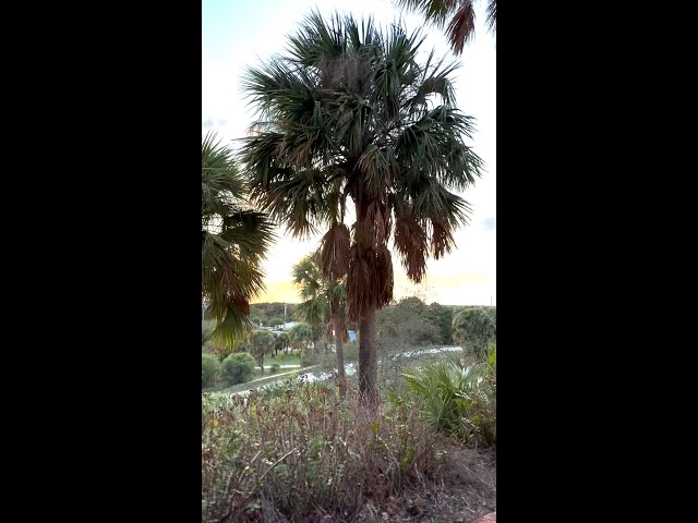 The Best Way to Spend Your Afternoon in Jupiter | Lighthouse Sunset Tour