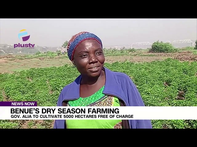 Benue’s Dry Season Farming: Gov Alia To Cultivate 5000 Hectares Free Of Charge