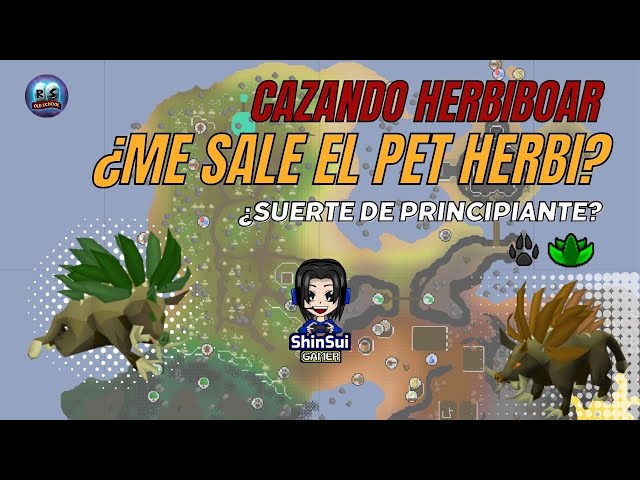 😱 1 HOUR HUNTING HERBIBOAR |🐾 DO I GET PET HERBI? | (BEGINNERS LUCK?) | ShinSui | OSRS