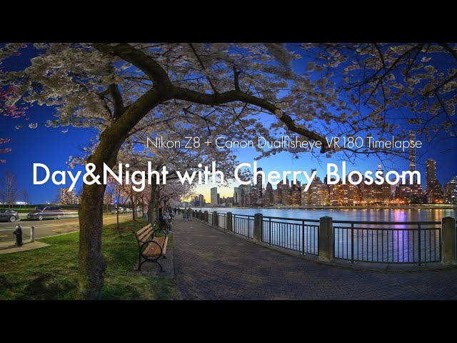 Day&Night with Cherry Blossom at NYC! Nikon Z8 + Canon Dualfisheye VR 180 Timelapse