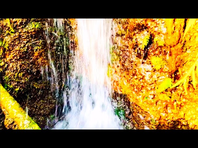 Mountain River Waterfall Flowing fast. Water Sounds, Nature White Noise. River Sounds for Sleeping.