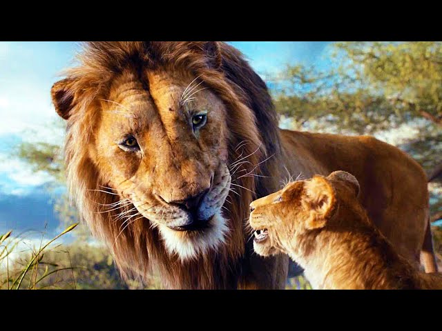 MUFASA The Lion King Clips, Songs & Trailers