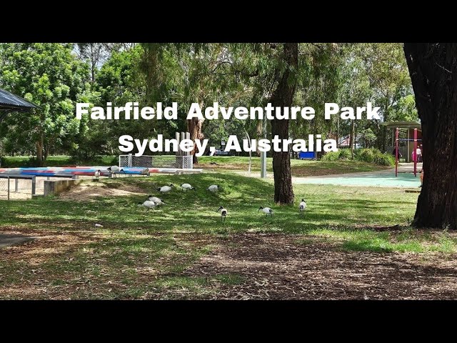 The Perfect Picnic & Birthday Venue : Fairfield Adventure Park, Sydney