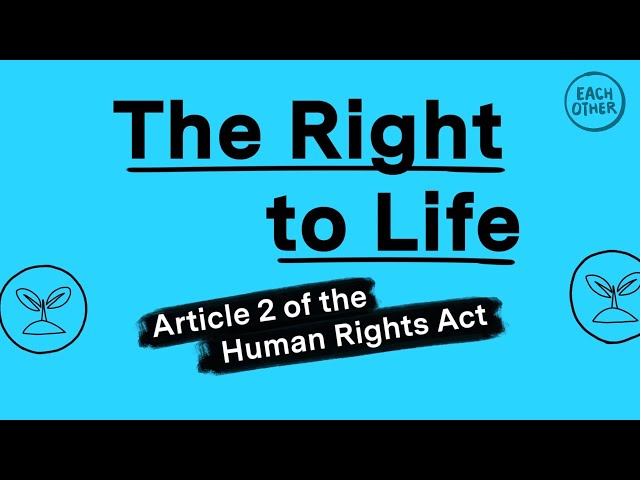 The Right to Life explained in 2 minutes!