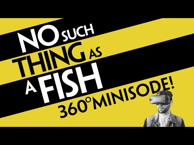 No Such Thing As A Fish in 360°!