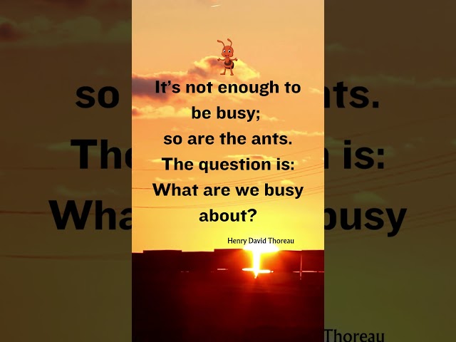 Productivity Quotes by Henry David Thoreau #shorts