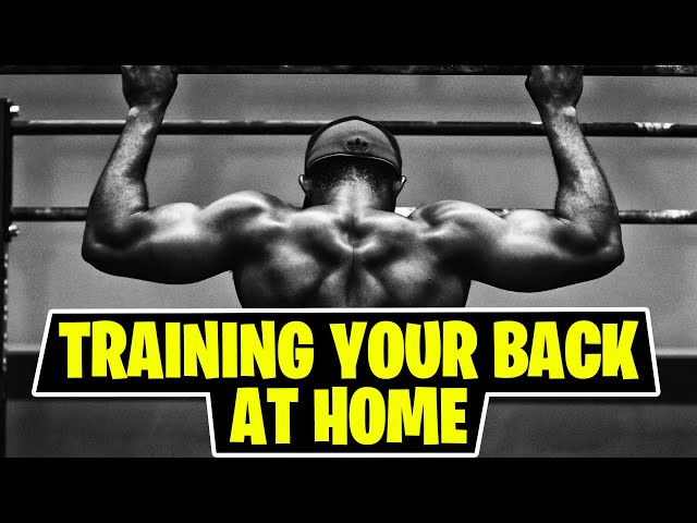 Training your back at home workout program