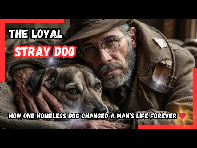 The Loyal Stray: How One Homeless Dog Changed a Man’s Life Forever ❤️