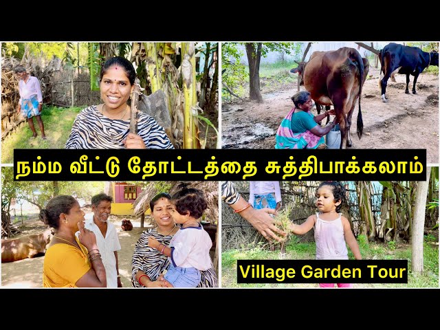 நம்ம வீட்டு தோட்டத்தை சுத்திபாக்கலாம் 🥰| VIllage Garden Tour | Sangeetha Vinoth | #tamilvlog