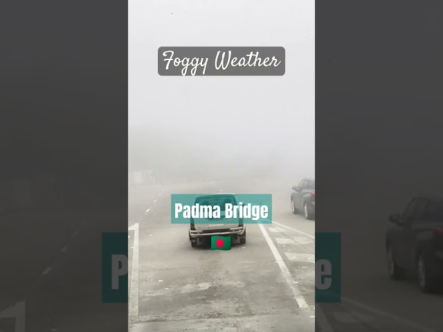 Padma Bridge Toll Plaza #padmabridge #foggyweather #travelvlog #mawa #bangladesh #travel #highway