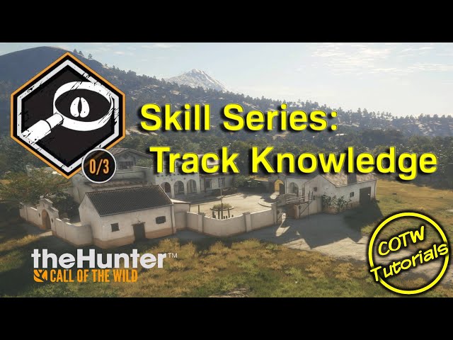 Track Knowledge Skill