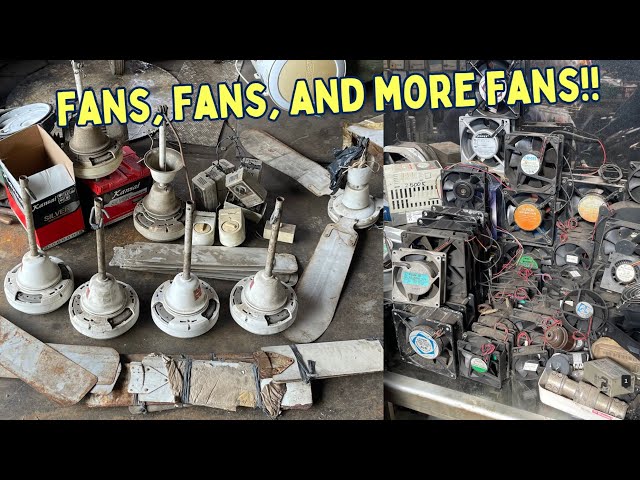 Secondhand Fan Heaven!!