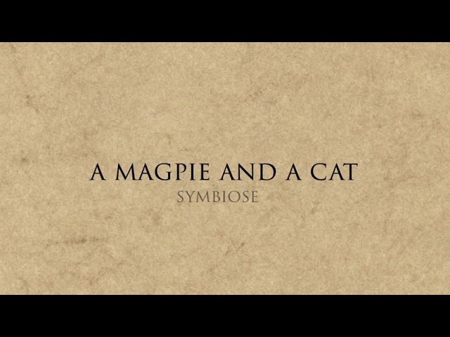 Symbiose - A Magpie And A Cat (Piano Version)