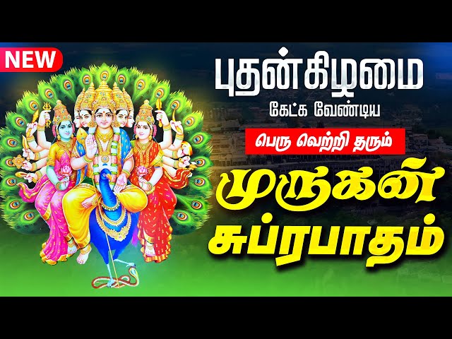 🔴LIVE SONGS | புதன்கிழமை அன்று கேட்க வேண்டிய முருகன் சுப்ரபாதம் Murugan Suprabatham Thai Poosam Spl