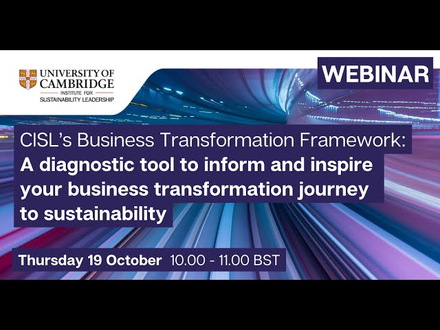 Business Transformation Framework Webinar