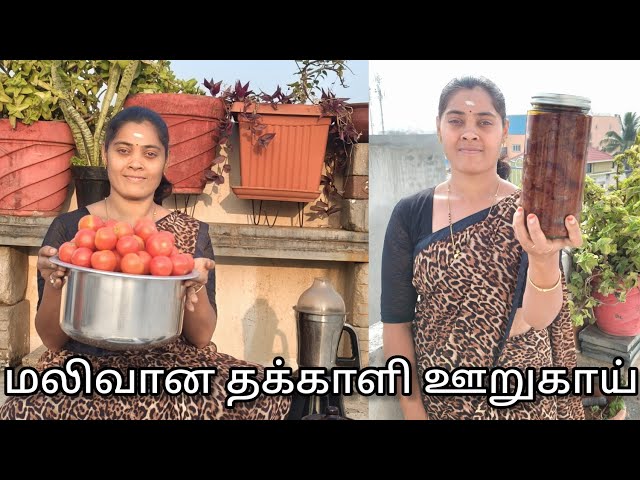 3kg தொக்க தட்டி தூக்கிடலாம் இது ஒன்னு போதும்|how to make thakkali thokku in tamil