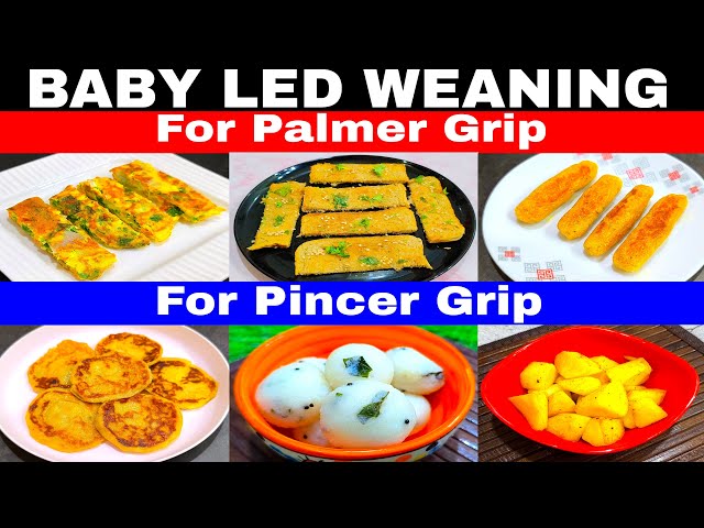 Baby Food Recipes For 10 Months To 3 Years | Finger Food | Baby Led Weaning | Healthy Food Bites