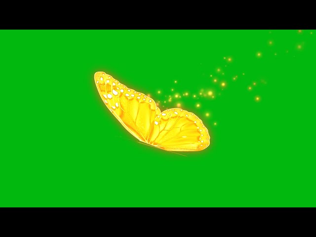 Golden butterfly flying - Green screen (no copyright, Royalty free)