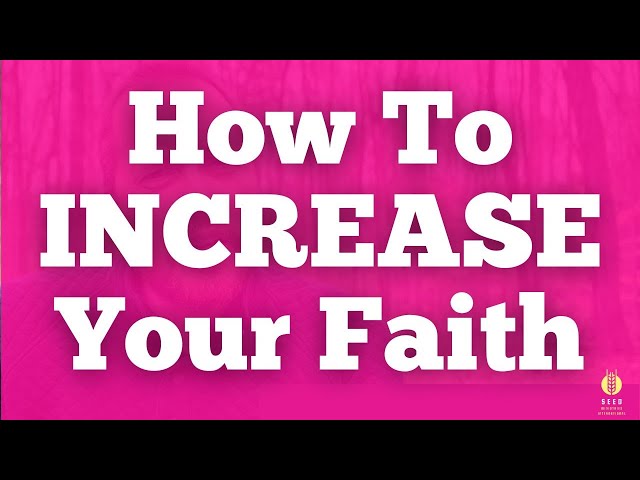 How To INCREASE Your Faith | Jump Start Your Faith #2 | Matt Meyer | Devotional Bible Study