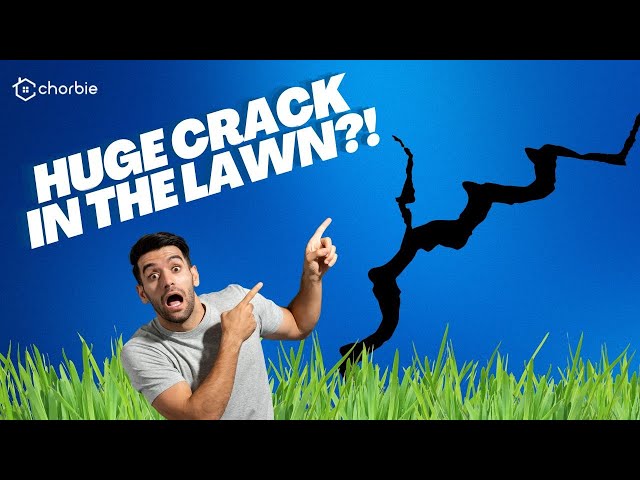 How to Fix Deep Cracks in My Lawn