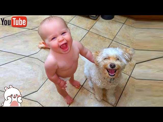 Cute Puppies And Babies Playing Together Compilation 2021 | Cute Baby