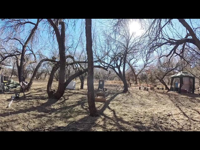 Amazing Sonoran Desert Birdfeeders 360 cam