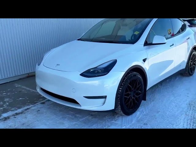 2023 Tesla Model Y Long Range AWD Walkaround