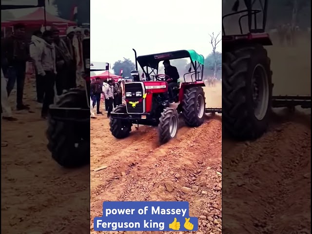 power of king tractor Massey Ferguson 🤟🤟🤟🤟🤟🤏😎😎😎👿👿👿👿👿👿