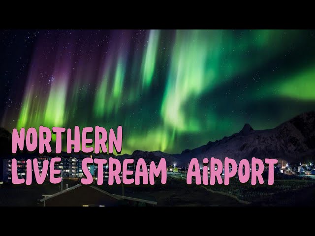 ❄️ Northern Lights Live Stream | Greenland 24/7 🌌 | AstroCycle