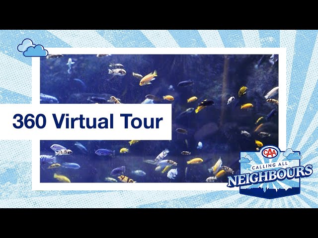 Toronto Zoo 360 Tour | CAA Calling All Neighbours