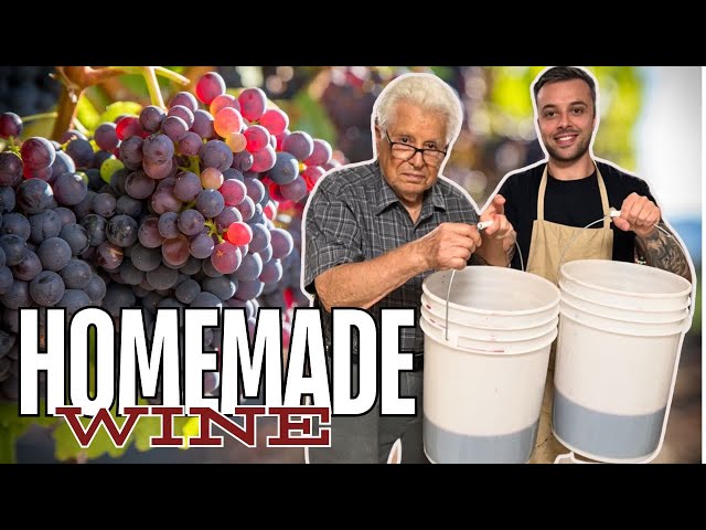 The Easy Way To Make Homemade Wine.. With Nonno Pasquale