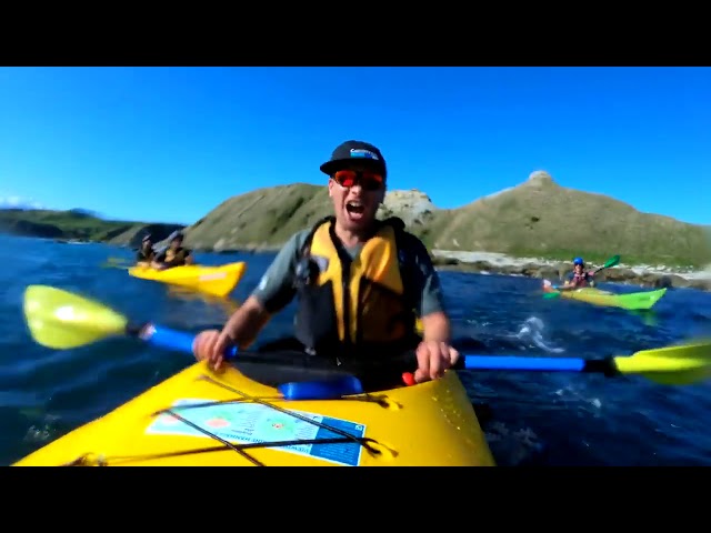 A Seal slaps kayaker with an octopus //   فقمة تحاول صفع أحد هواة التجذيف بواسطة أخطبوط