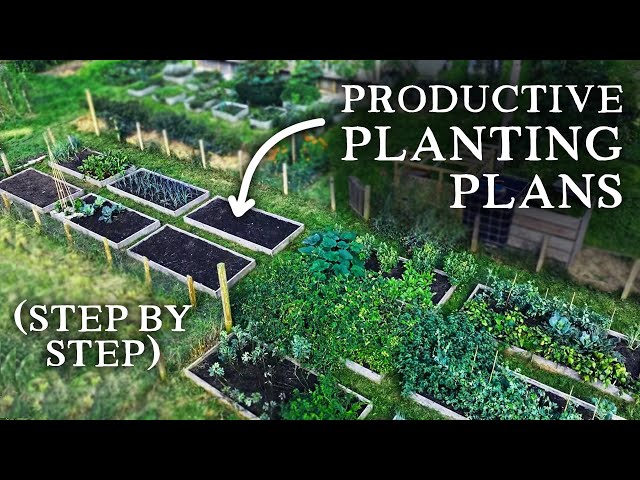 Planning A Productive Vegetable Garden (Masterclass for Beginners)