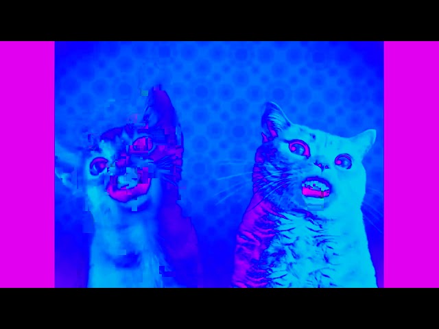 Preview 2 Numa Cat effects [Spon‎sored by NE‎IN C‎supo effects]