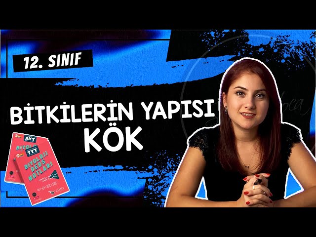 15) KÖK - BİTKİLERİN YAPISI 1 | 12. SINIF | DETAYLI KONU ANLATIMI | AYT 2024