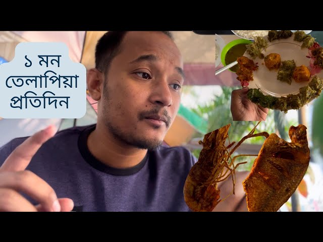 মিরপুর বেড়িবাঁধে প্রতিদিন ১ মণ তেলাপিয়া মাছ বিক্রি! | Food vlog | TWT vlogs #foodvlog