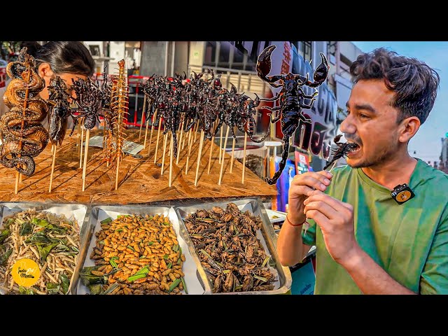 Scorpions, Snake, Spider Eating In Bangkok Street l Thailand Street Food