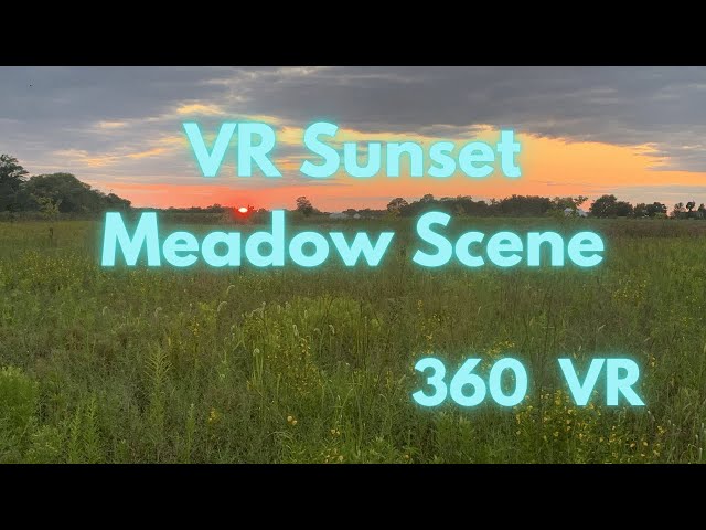 Sunset Meadow Sounds. Relax in the Meadow. 360 VR Video in 4K.