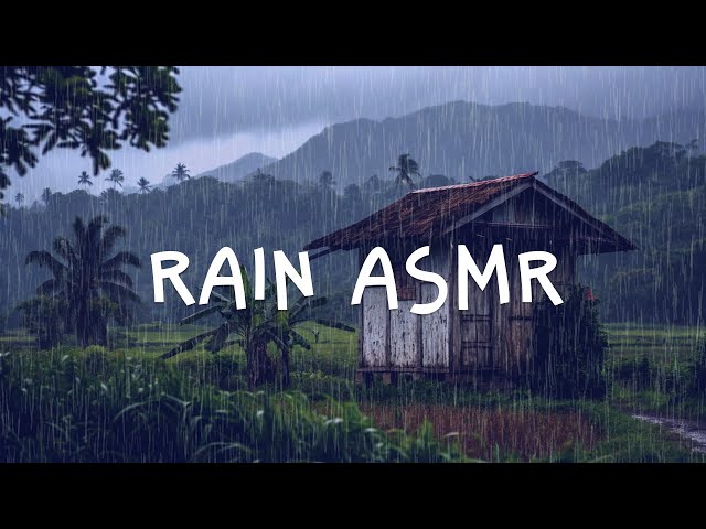 November Rain - Guns N' Roses | RAIN ASMR BAMBOO HOUSE