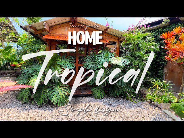 Estetic tropical backyard garden 🌺✨simple landscape design