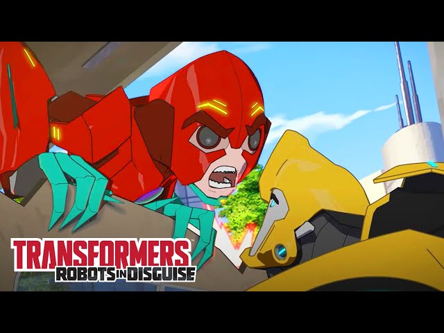 Transformers: Robots in Disguise | S04 E13 | FULL Episode | Animation | Transformers Official