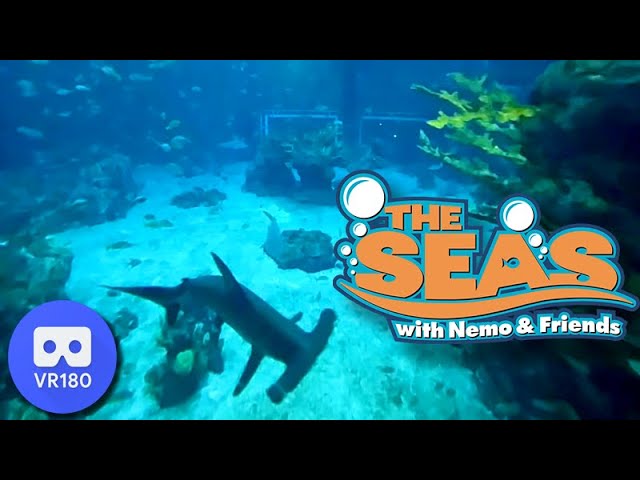 The Seas with Nemo & Friends Aquarium VR 180 (Meta Oculus Quest)