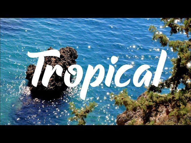 Tropical chill music mix 🌴 tropical house mix no copyright 🎵  tropical vlog music  🌴