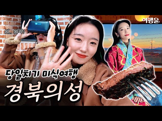 🍴☕ 의성 푸드빌리지 당일치기 미식여행 | 🌾 논뷰 감성 카페 & 지역 특산 스테이크 | #의성푸드빌리지 #의성여행