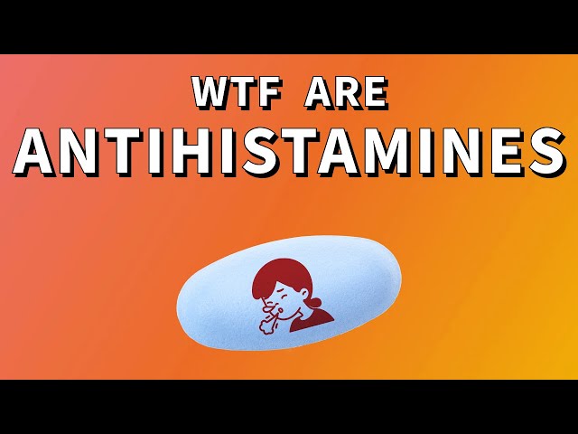 What are ANTIHISTAMINES and how do they WORK? Claritin, Zyrtec, Benadryl, Allegra, Allergies!