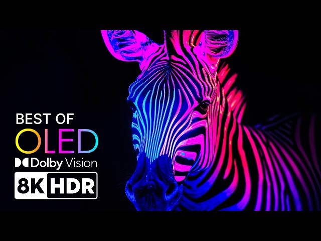 BEST OLED TEST - Brilliant Colors & Details in 8K HDR | Dolby Vision™