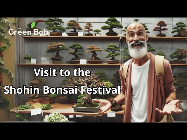 Exploring the 7th Shohin Bonsai Festival | A Journey Through Miniature Masterpieces