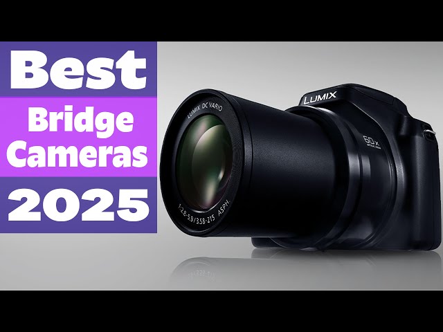 Top 5 Best Bridge Cameras for 2025 – Ultimate Guide for Vlogging, Wildlife Photography & More!