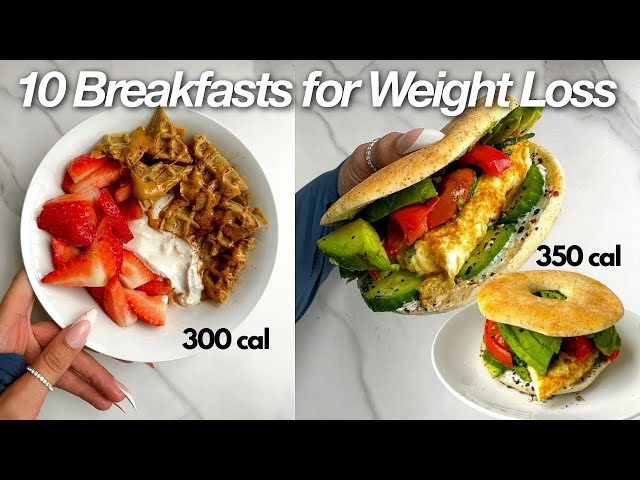 10 Days of Weight Loss Friendly + Low Calories Breakfast Ideas to Make in 2023 | Quick & Easy Recipe